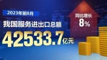 国产精品自在线